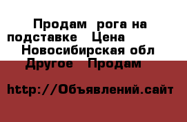 Продам  рога на подставке › Цена ­ 8 000 - Новосибирская обл. Другое » Продам   